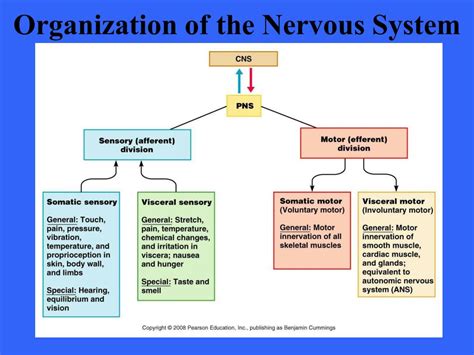 Image result for Able Problem Solving Model Pre Test Answers
