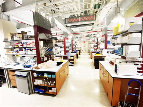 Biomedical Engineering Lab 的图像结果