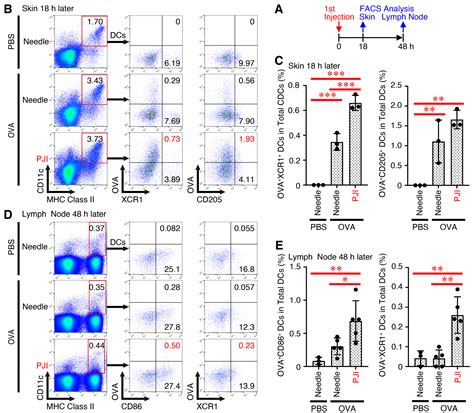 Intradermal Injection of a Protein Alone Without Additional Adjuvants ...