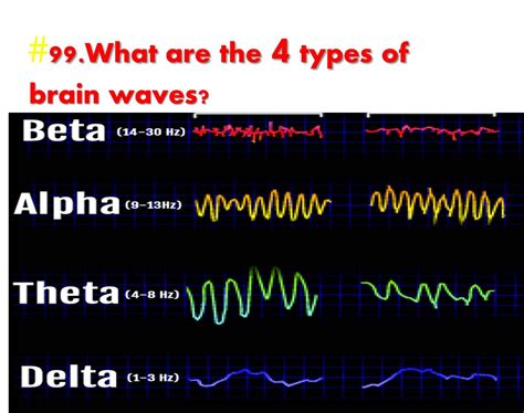 Different Types of Brain Waves: Alpha, Beta, Theta, Delta