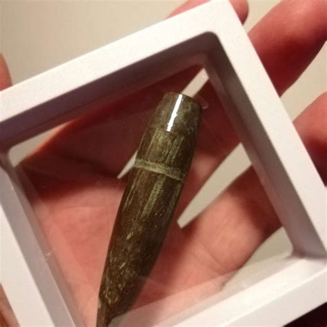 NASA Space Shuttle Program 的图像结果