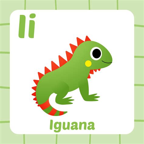 flashcard for kids, iguana vector 17550739 Vector Art at Vecteezy