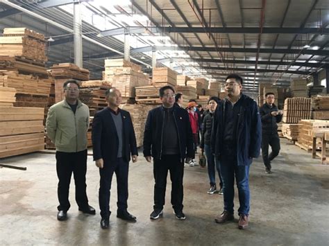 东莞市中城木业有限公司_木材商城