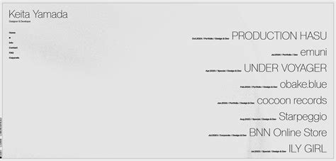 Image result for Professional Portfolio Examples