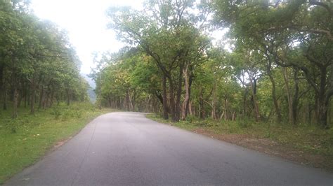 Cacofonix: Travelogue - Bangalore to Nilambur