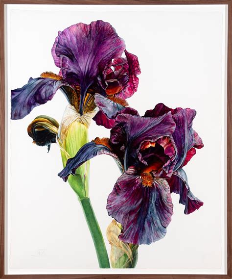 Rosie Sanders, Hear the Dance, 2024 | Jonathan Cooper