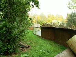 ZooLex Exhibit - Miniature Monkeys