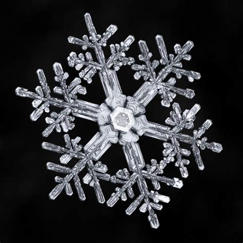 Image result for Snowflake Formation