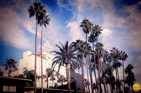 5 Los Angeles Must Visit Attractions In California - NEXTBITEOFLIFE BLOG