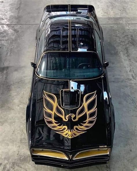 Pontiac Trans Am on Instagram: “#pontiactransam #transam ▪pontiactransam.com▪” | Pontiac firebird trans am, Pontiac firebird, Pontiac