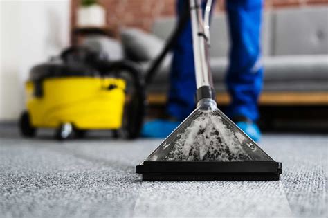 How To Disinfect Carpet In Simple But Effective Ways Lovetoknow
