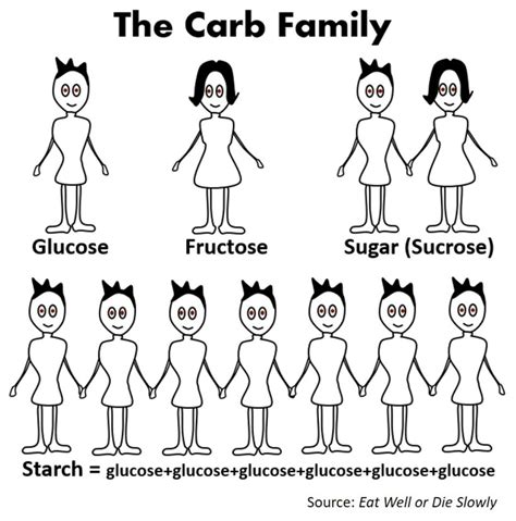 Sugar and Starch Addiction - Wellness EQ