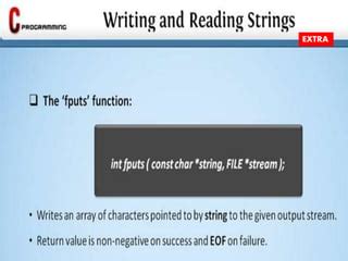 C Programming File 的图像结果