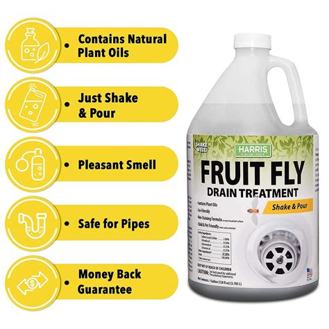 Harris Fruit Fly Drain Treatment Gel - Indoor 128oz Fruit Fly Killer ...