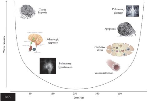 Image result for PaO2 Correlates with SaO2