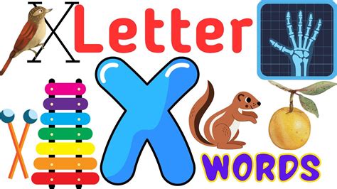 Words That Start With X For Kindergarten