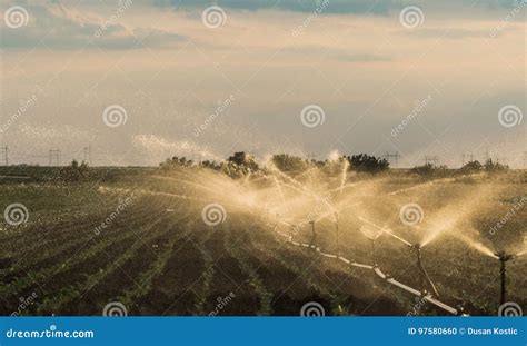 Irrigation System Watering a Crop of Soy Beans Stock Photo - Image of ...