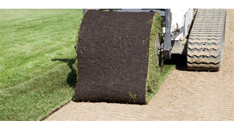Skid Steer Sod Roller | Buy Online | Free Shipping! – Skid Steers Direct