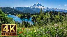 Nature 4k Image by 4k Nature Relaxation Image Collection Beautiful Nature 4k Image