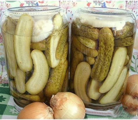 Soğanlı Salatalık Turşusu - kadın sitesi kadınca örgü dantel