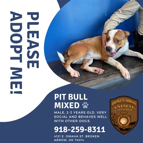 Social Media Recap - 8/13/2021