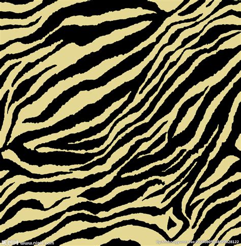 斑纹角马 的图像结果