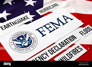 FEMA staffers suspended