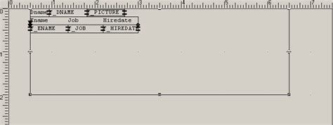 Building a Report with Dynamic Graphics