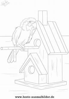 ausmalbilder kostenlos zum ausdrucken papageien ausmalbild vogel ausmalbild papagei und anderen ausmalbilder kostenlos zum ausdrucken papageien ausmalbild vogel ausmalbild papagei und anderen