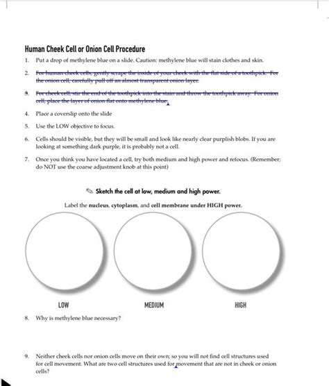 Cheek Cell Experiment Method 的图像结果
