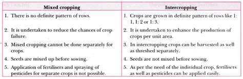 How is intercropping different from mixed cropping? - CBSE Class 9 ...