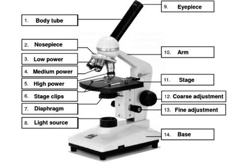 which instrument had used to observe cell - Brainly.in