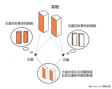 3D液晶电视显示技术原理解析