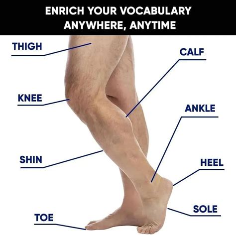 Pin de Robert Golos en English | Libros de ingles basico, Palabras basicas en ingles, Palabras ...