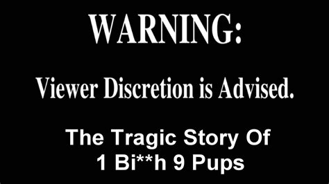 The Tragic Story Of 1 Bi**h 9 Pups - This Video Is Not For The Feint Of ...