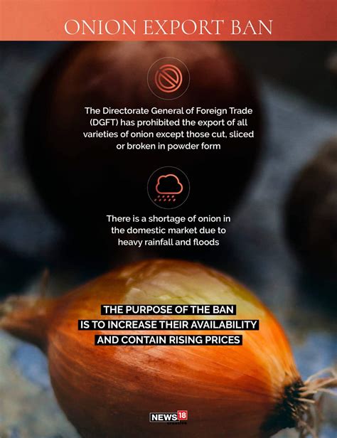Infographic | This is why onion prices rise every year in India | Moneycontrol News