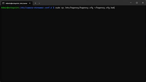 Setting USB Camera OctoPrint 的图像结果