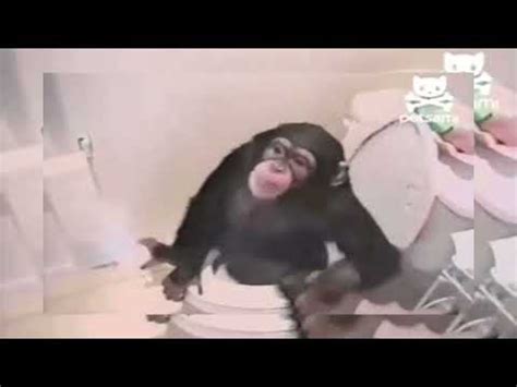 Image result for Alien Monkeys Bathroom