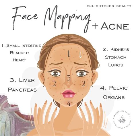 Face Mapping For Acne — Enlightened Beauty by Morgan Elizabeth
