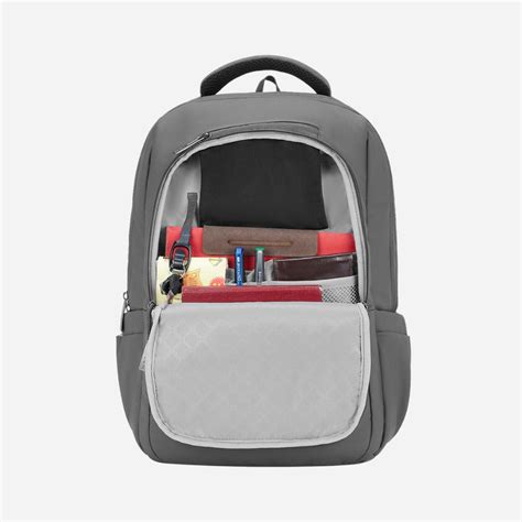 Buy Safari Form Plus 2 32L Laptop Backpack Grey Online