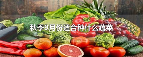 适合夏季种植且生长日期短40到60天可收获的蔬菜—播种常识—北京花仙子园艺—专业种子培育，批发零售各种花卉、花种、苗木