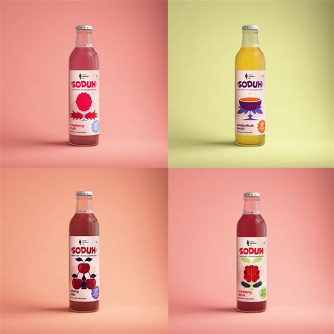 Soduh Variety Pack [Pack of 4] — Local Ferment Co