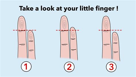 Pinky Half Strength Of Hand at Shanna Gaiser blog