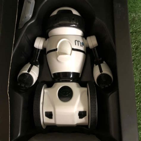 MIP Robot 的图像结果