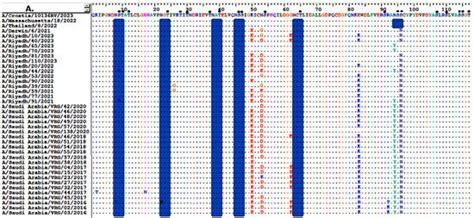 Evolution and Vaccine Strain Match of HA and NA Genes of Influenza A ...