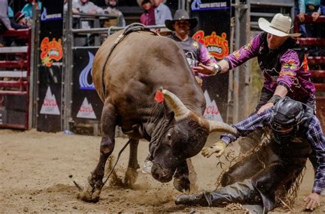 Yavapai Bottle Gas Mile High PBR | Findlay Toyota Center