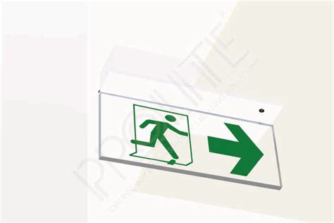 Egress Light LED E/M (RM) | LED Exit Light | Prolite