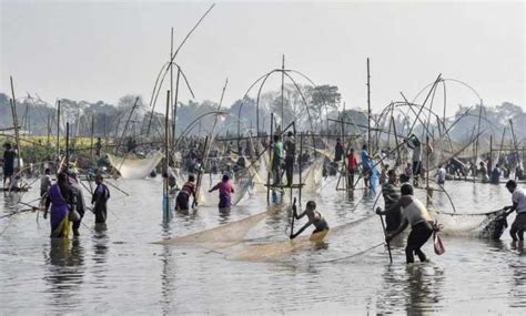 Inland Fish, Fisheries, Fisher-folks: 2020 Overview – SANDRP