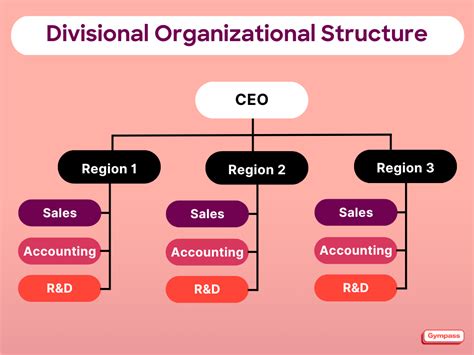 Divisional Structure 的图像结果