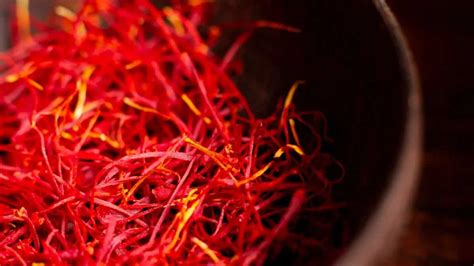 Growing Saffron In Containers: Essential Tips For Urban Gardeners